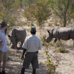 the exceptional opportunity to track white rhino