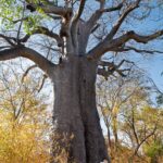Zambezi Queen en suite bathroom