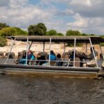 Zambezi Queen photographic safari close to riverbank