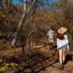 Professional guides take Zambezi Queen guests for a guided bush wa