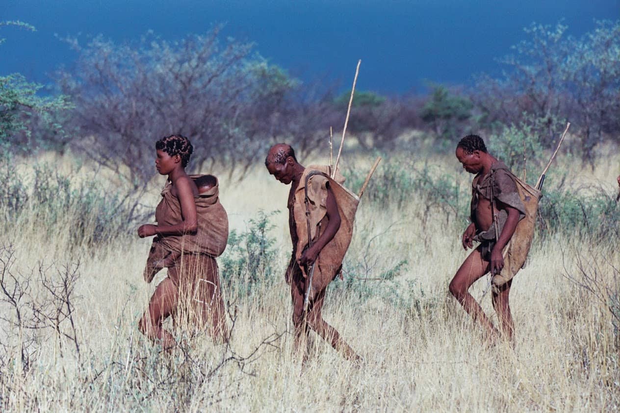 A nature walk with San bushmen trackers is an incredible experience