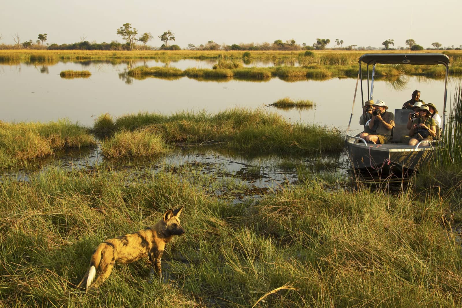 Boating activities are hosted by Selinda Camp when water levels permit