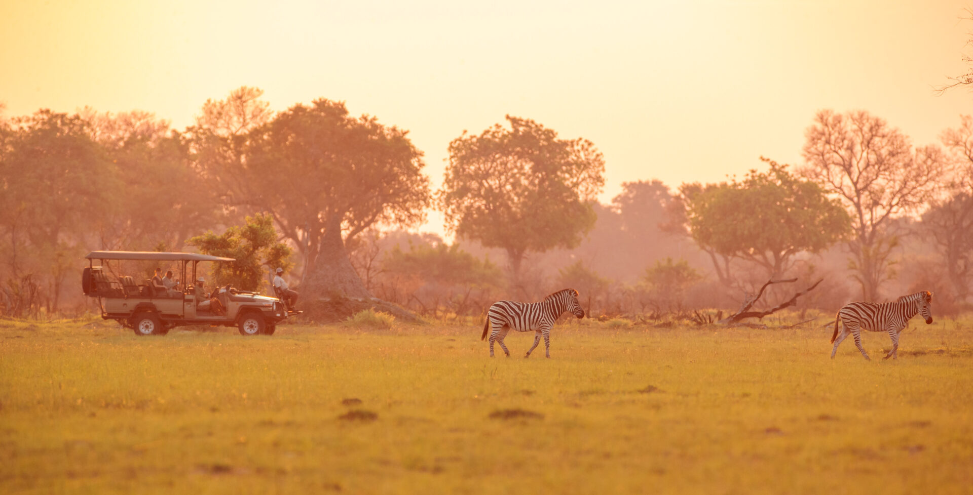 Beagle expeditions sunset game drive with zebra