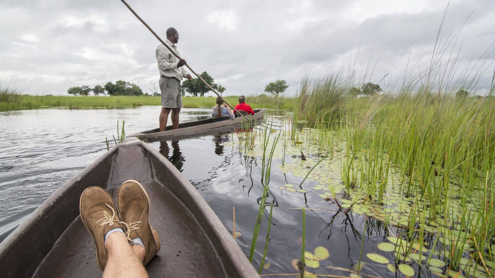 Exploring water channels by mokoro with Beagle Expeditions