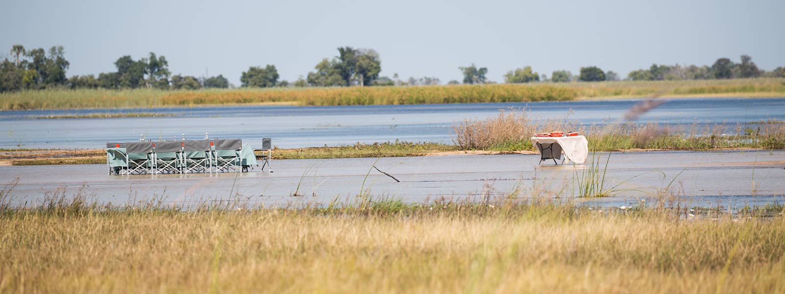Scenic lunch in the delta with Beagle Expeditions
