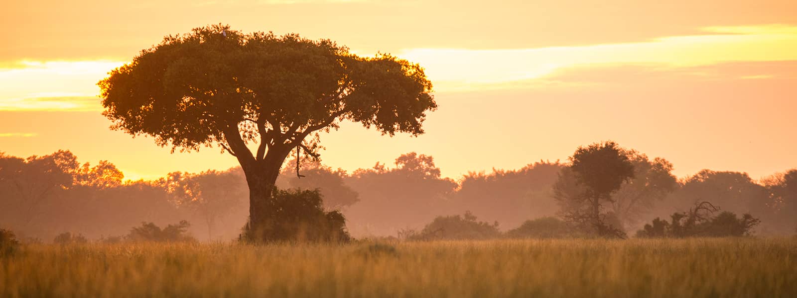 Kweene trails sunset