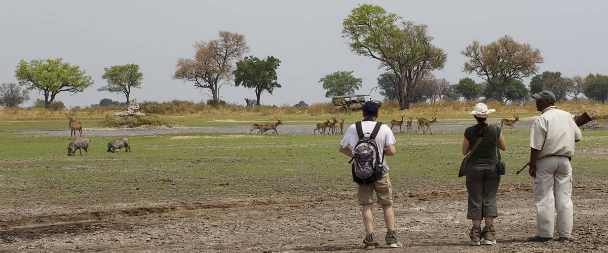 Footsteps in the Delta guest views plains game from a distance
