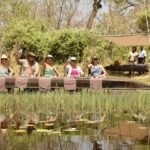 Al Fresco dining on a David Foot Safari