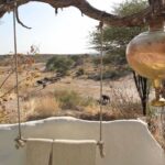 Elephant crossing the river bed at Meno a Kwena