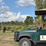 Ngoma Safari Lodge game drive on elephant sighting