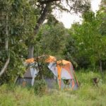 David Foot safari guests stay in well equipped tents