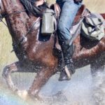 David Foot Safaris canter through the water