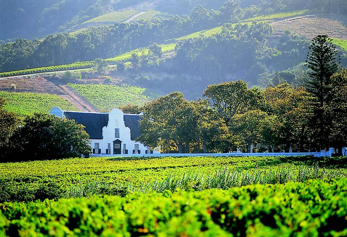 Cape-Winelands traditional cape dutch vineyard