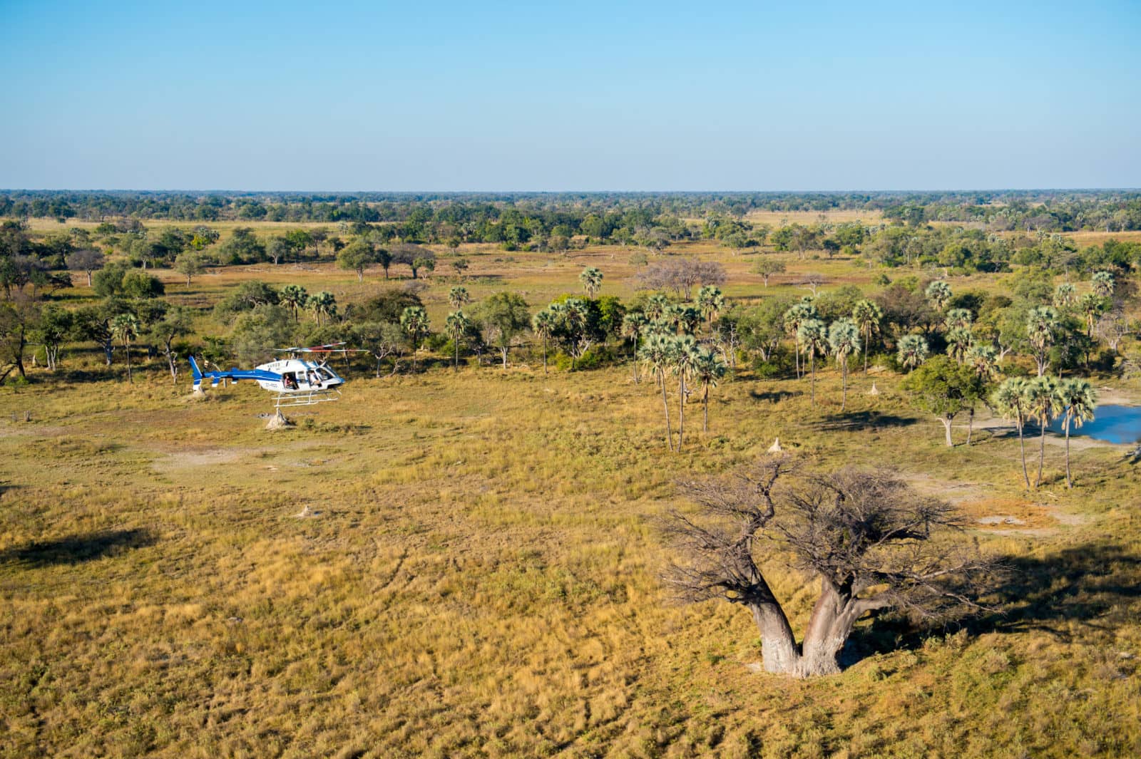 The okavango landscapes seen from a helicopter