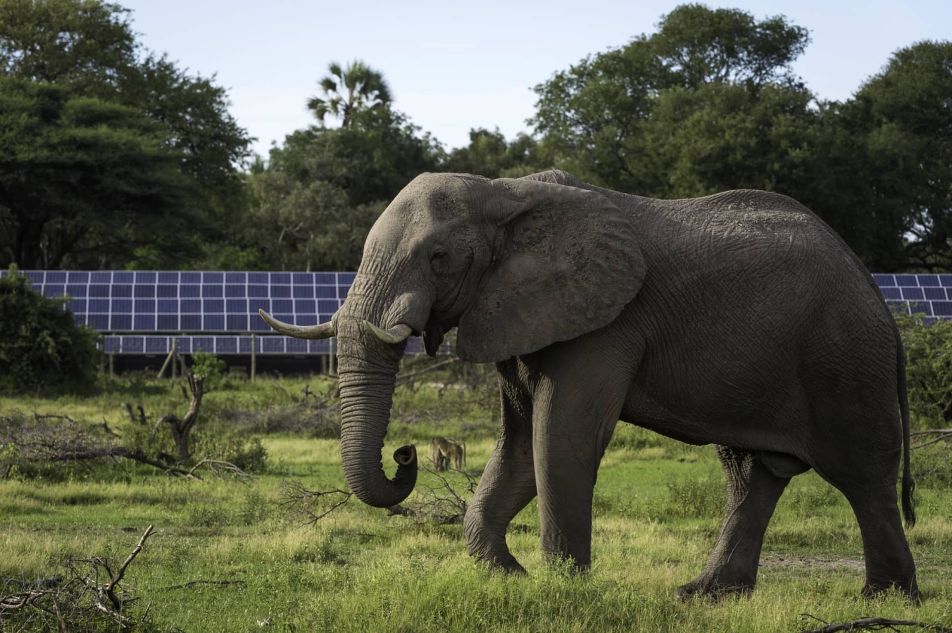 Solar pannels provide clean energy to protect the Okavango environment