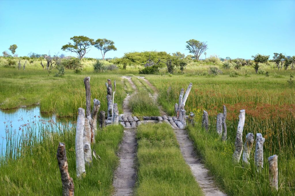 Safari track and wooden bridge over floodwater in the Okavango Delta during high water levels in Botswana