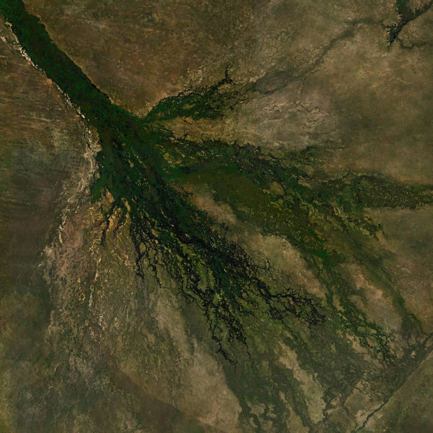 Formation of the Okavango Delta - a satellite image of Okavango Delta in Botswana -