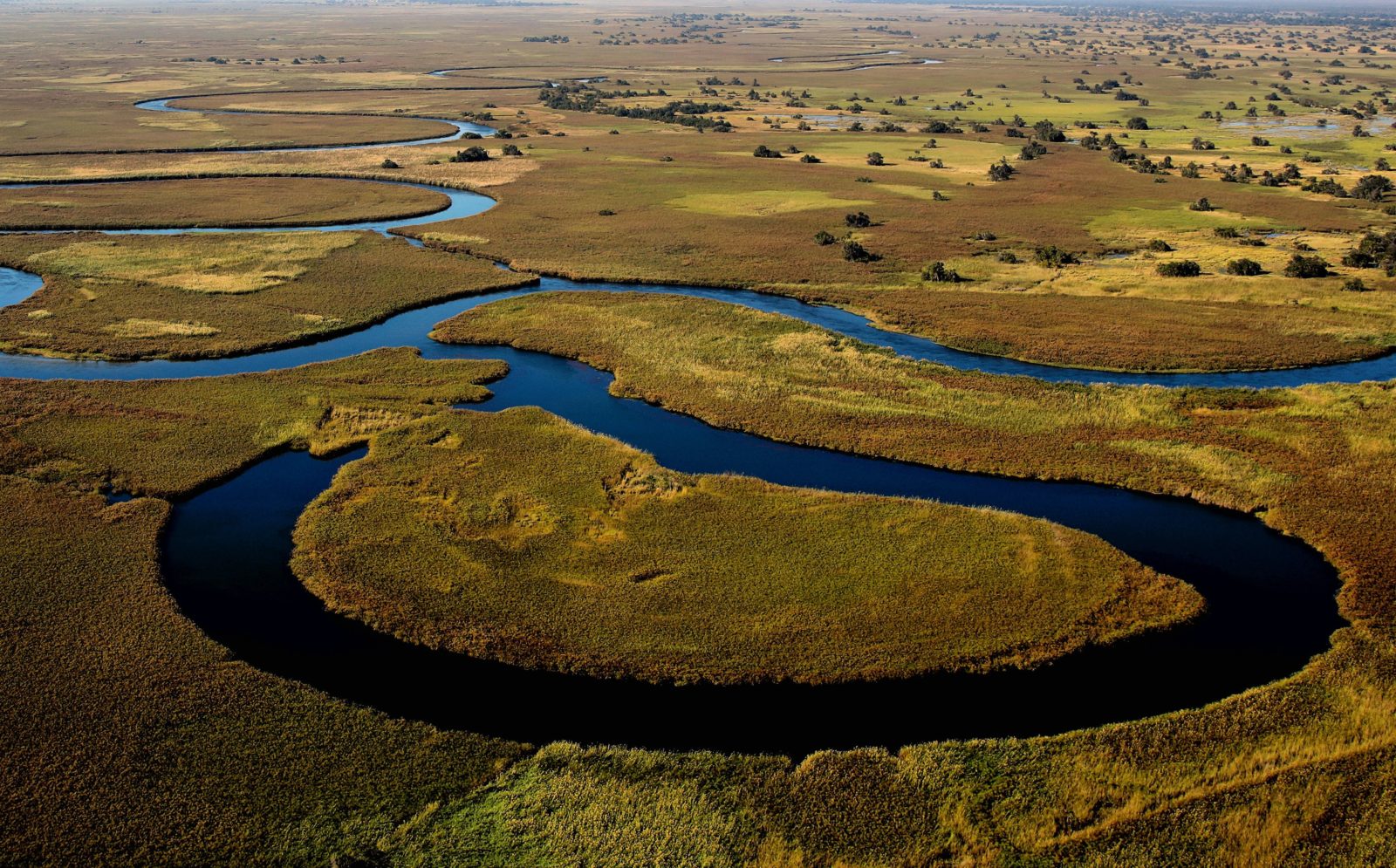 The Okavango Delta landscape