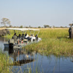 Navigating the water channels is a great way to explore the Okavango Delta with Endeavour safaris