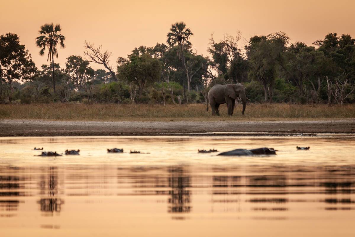 Sundowners at dusk on Machaba - Gomoti Safari
