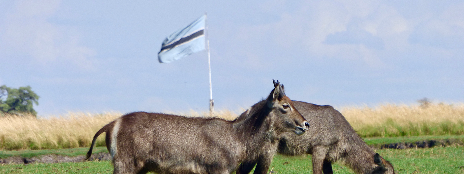 Botswana flag travel advice