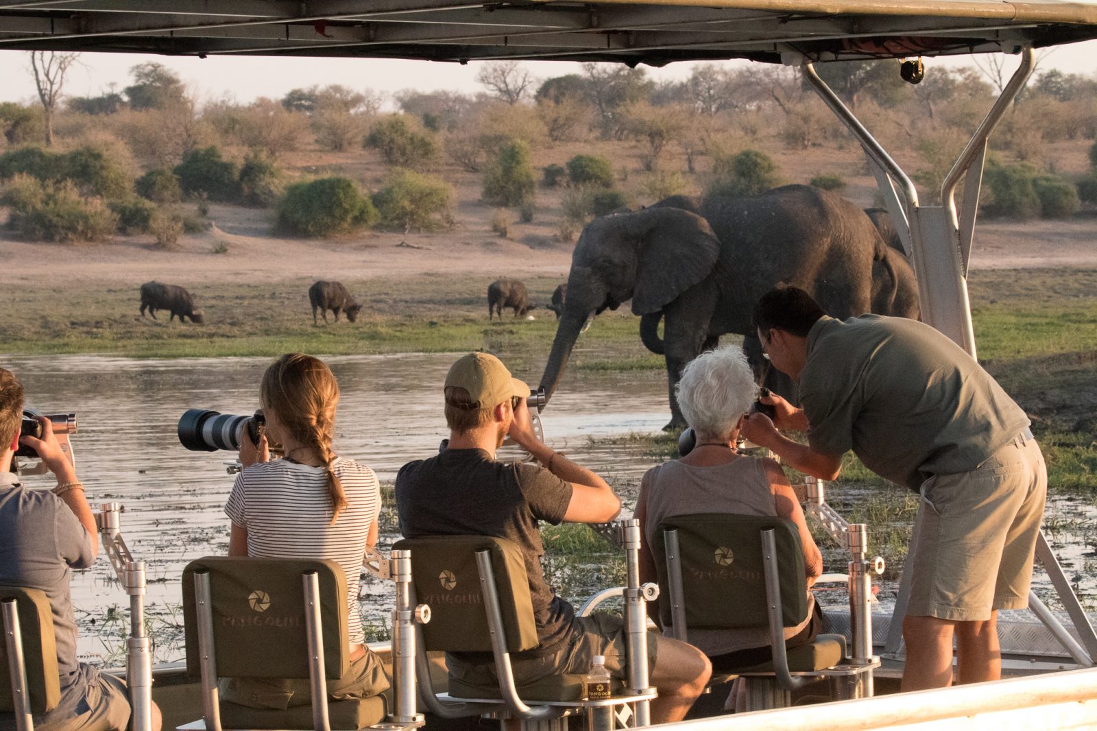 Botswana photographic safari on the chobe river
