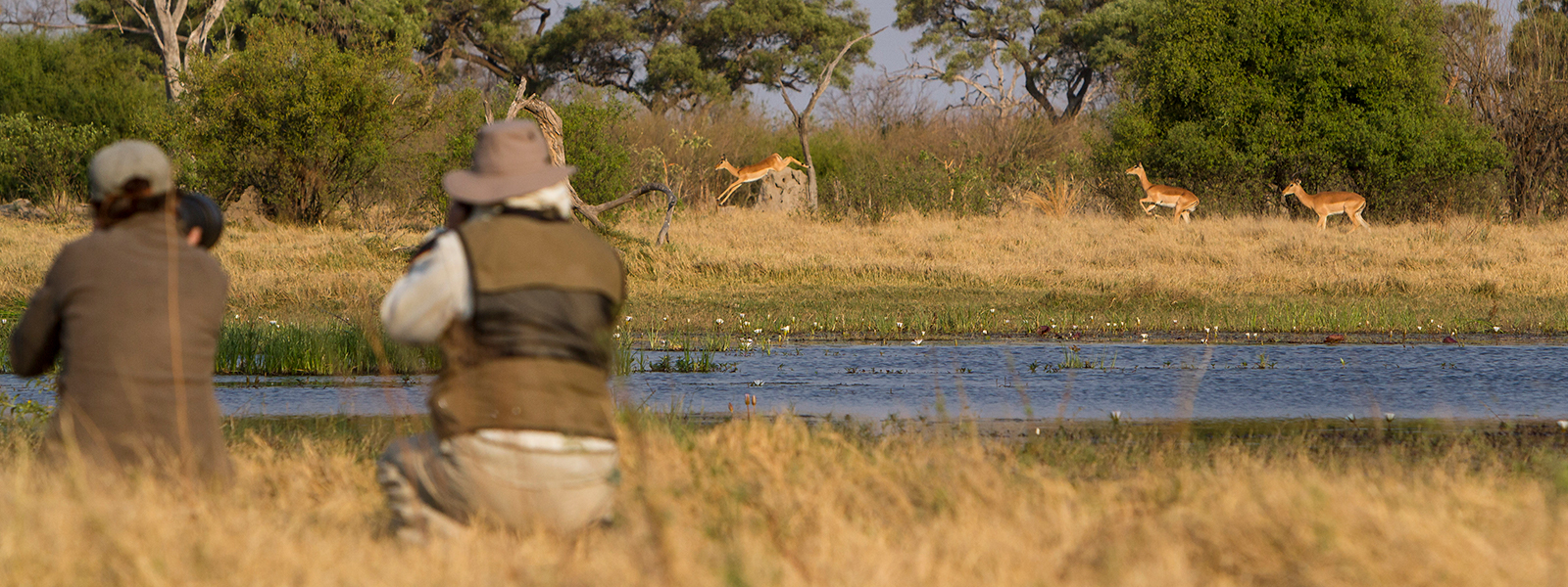 Botswana photographic safaris tours