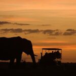 A sunset game drive from the Duba Plains Suite
