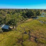 Dukes camp lies on the banks of a river in the northern Okavango