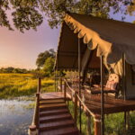 Dukes Camp guest tent overlooking the Okavango Delta