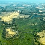 An aerial view of north island okavango camp
