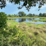 View of the waters surrounding North Island Okavango