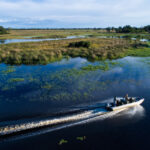 Boating around north island okavango camp
