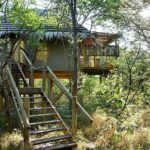 Tree house at Bakwena Lodge
