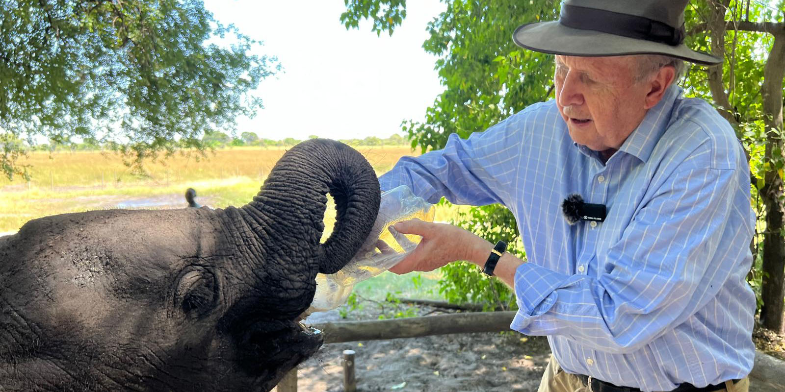 Alexander McCall Smith feeding baby elephants at Elephant Havens