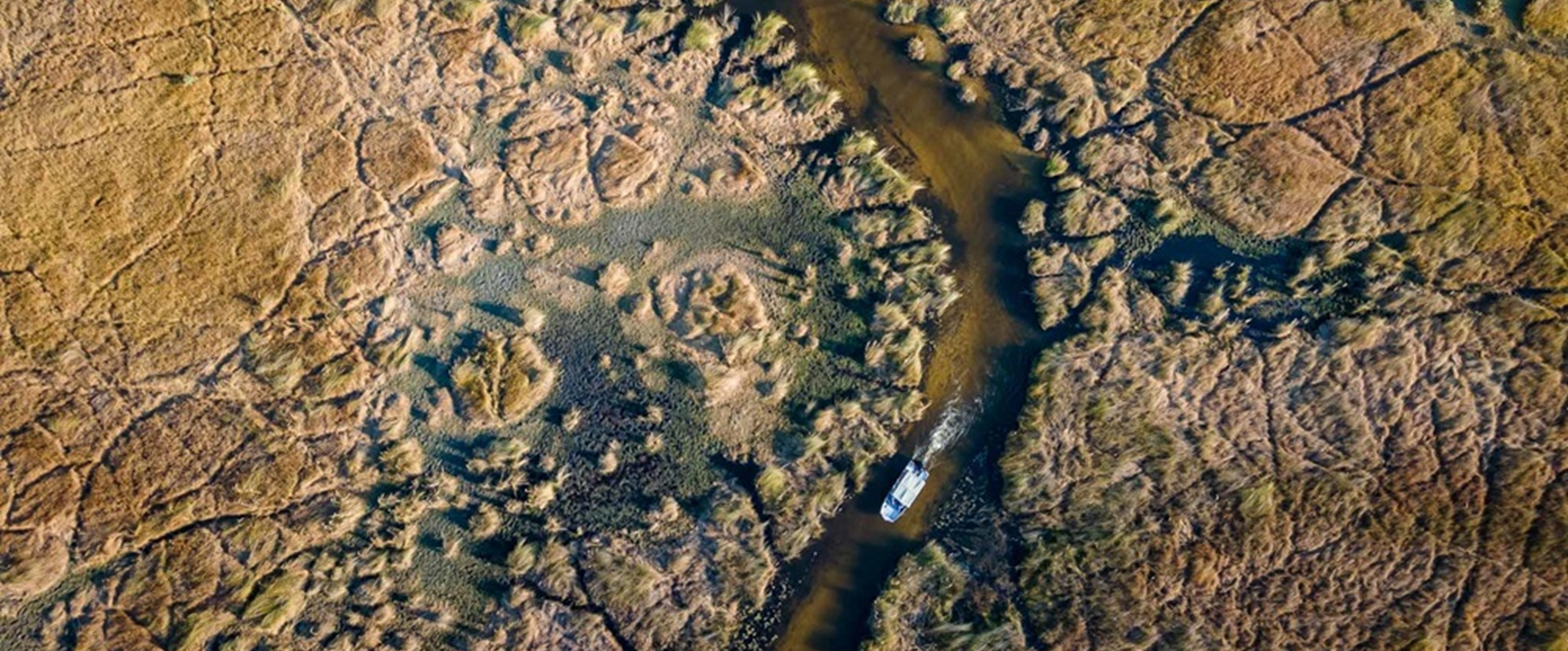 Meandering channels of the Okavango