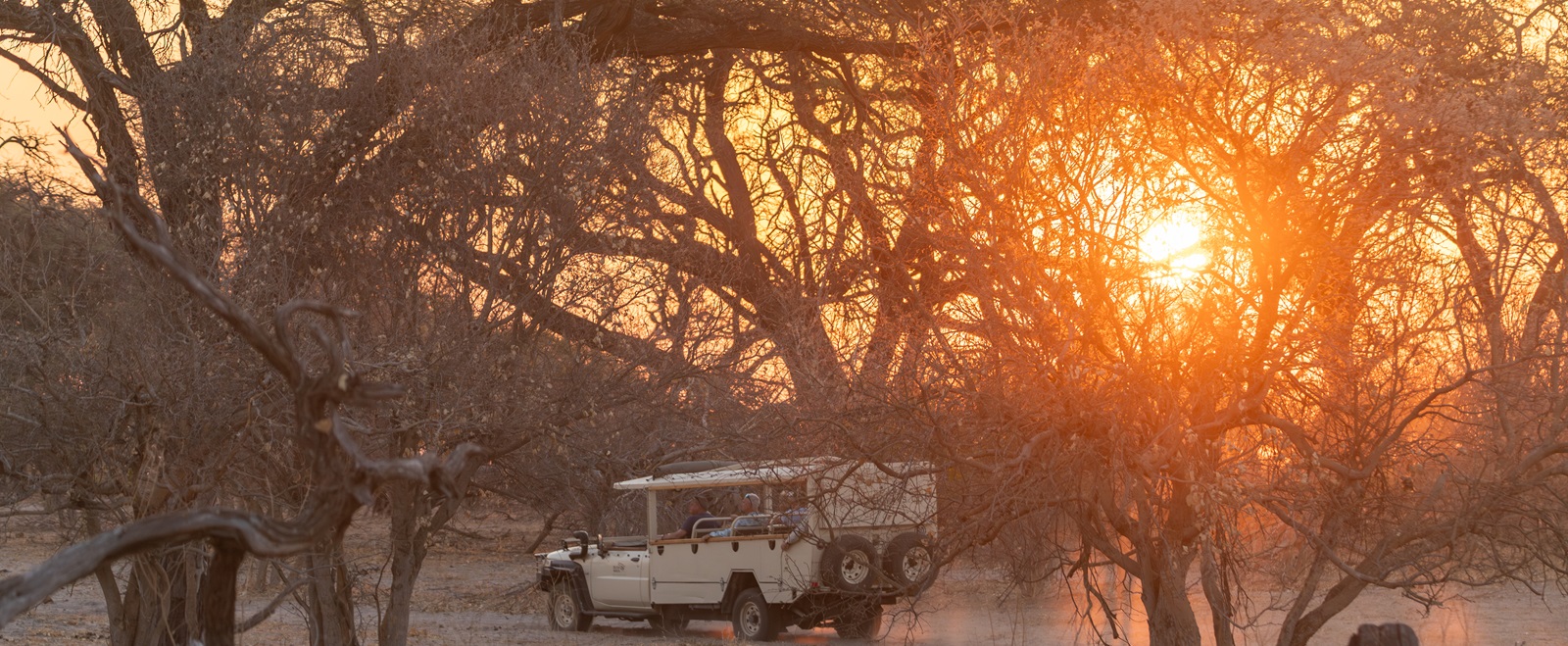 Gorgeous sunset during Mababe game drive