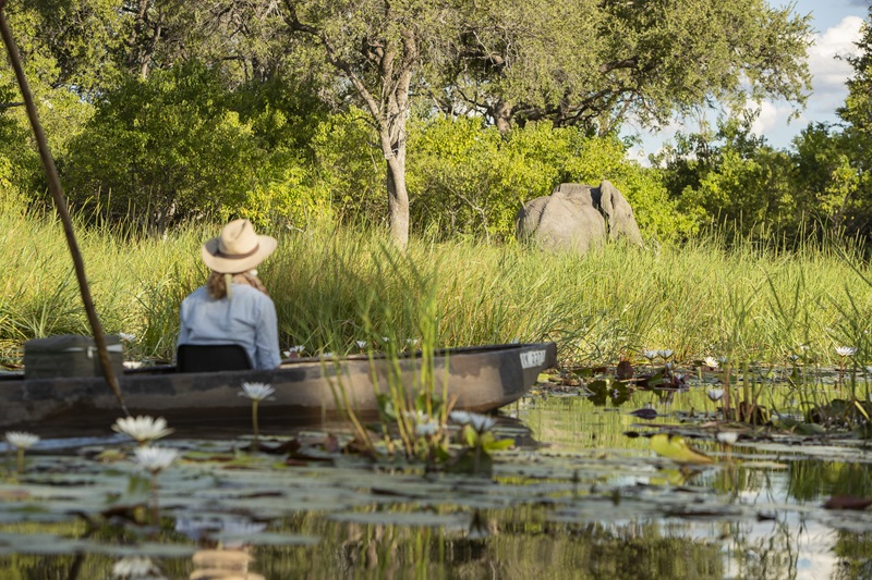 Relaxing mokoro on Caracal safari