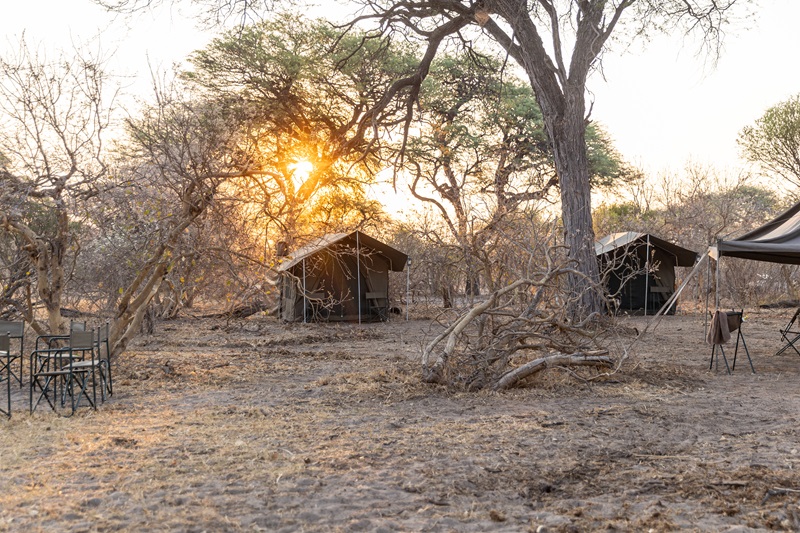 Early morning photo of camp on Caracal safari