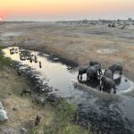 Moela Safari - Game viewing