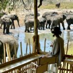 Watching the elephants drink from Moela Safari Lodge