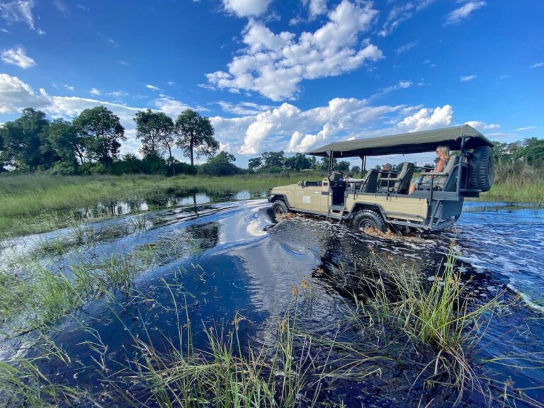 Game Drive at North Island Okavango.