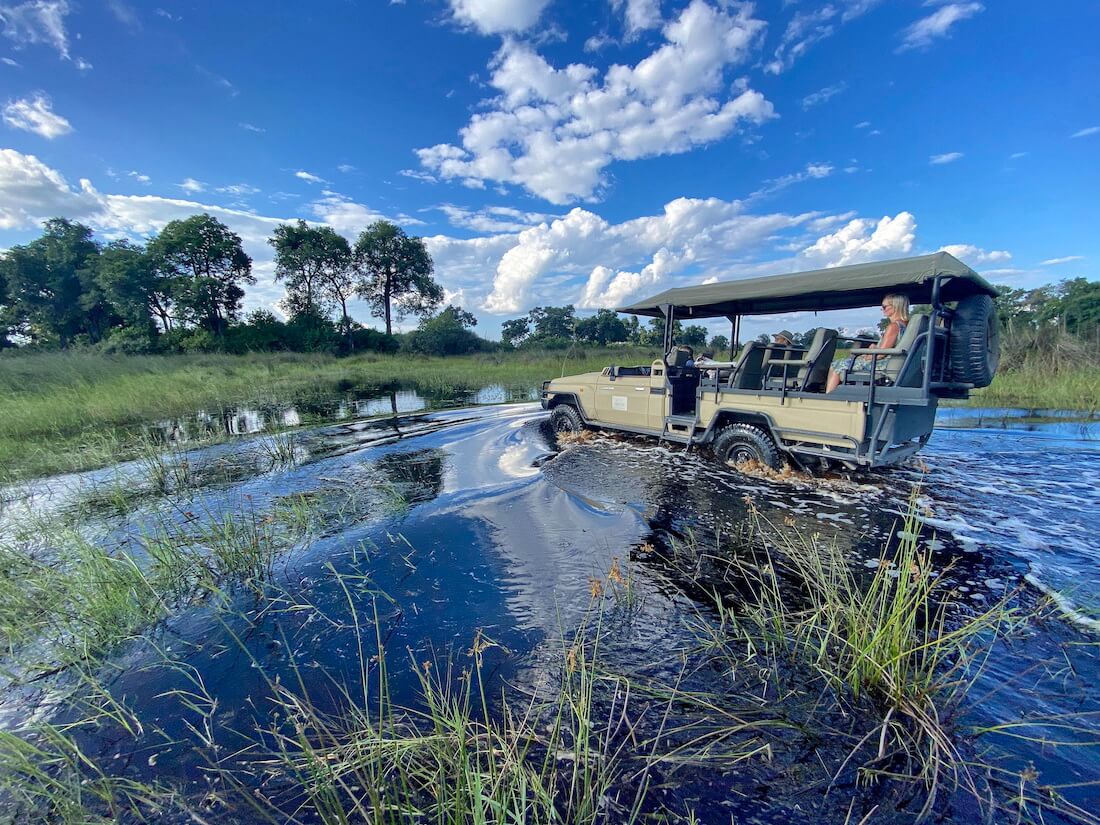 Game Drive at North Island Okavango.
