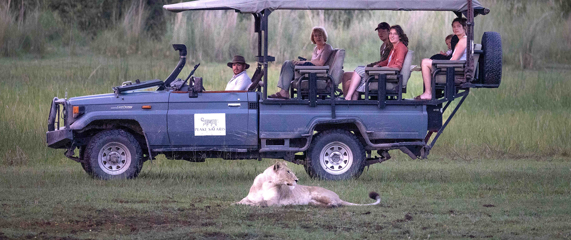 Peake safaris_game drives