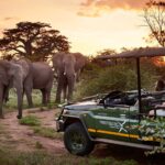 Game drive while at Victoria Falls River Lodge.
