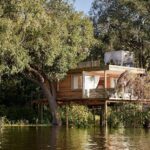 The Island Treehouses are set high up of the Zambezi River.