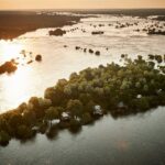Arial view of the Island Treehouses.