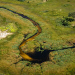 The clear Okavango waters which flow around Maxa camp