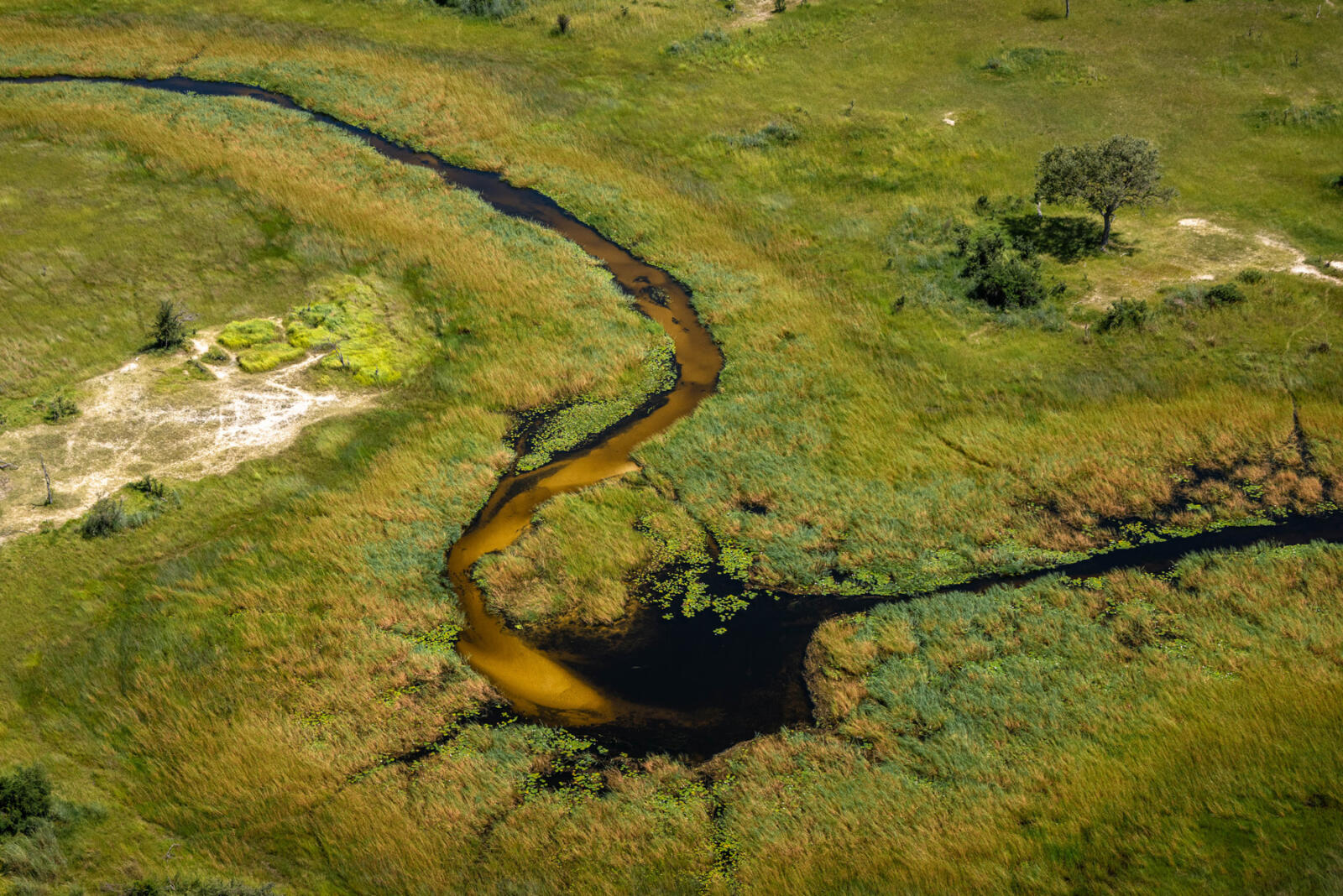 The clear Okavango waters which flow around Maxa camp