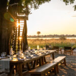Main lounge area at Maxa in Botswana with open-plan seating and a treehouse overlooking the wilderness